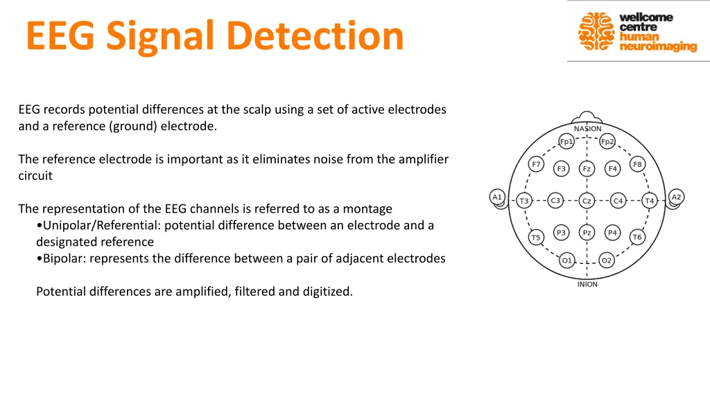 eeg signal detection