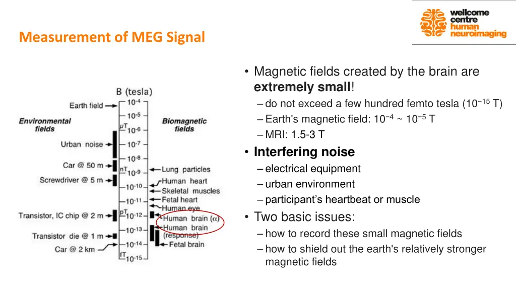 measurement of meg signal