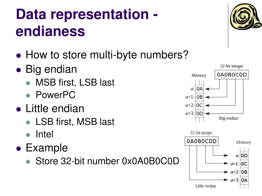 data representation endianess