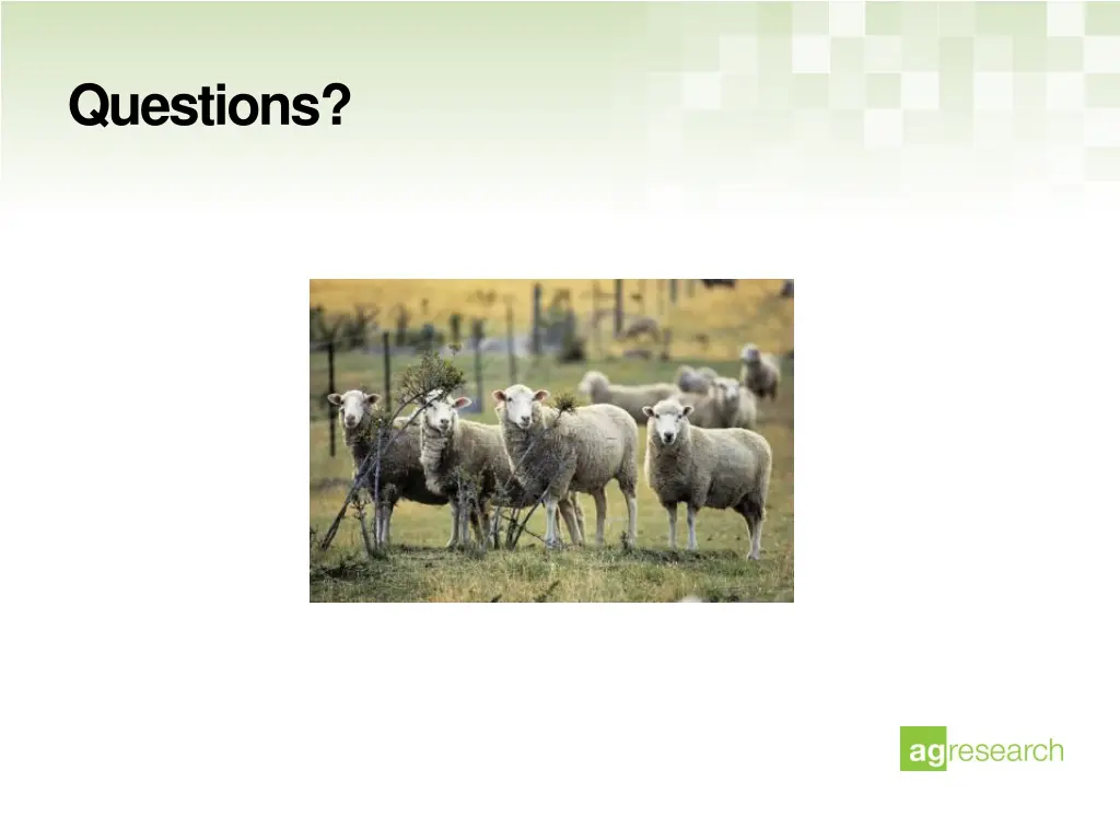 questions