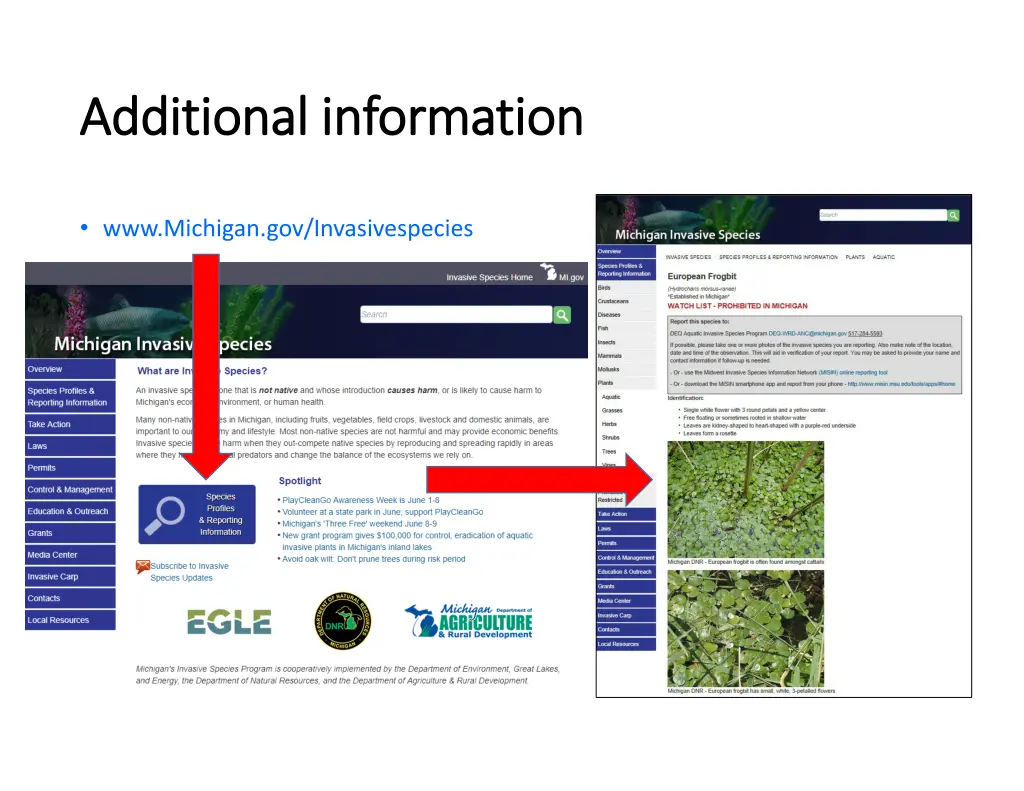 additional information additional information