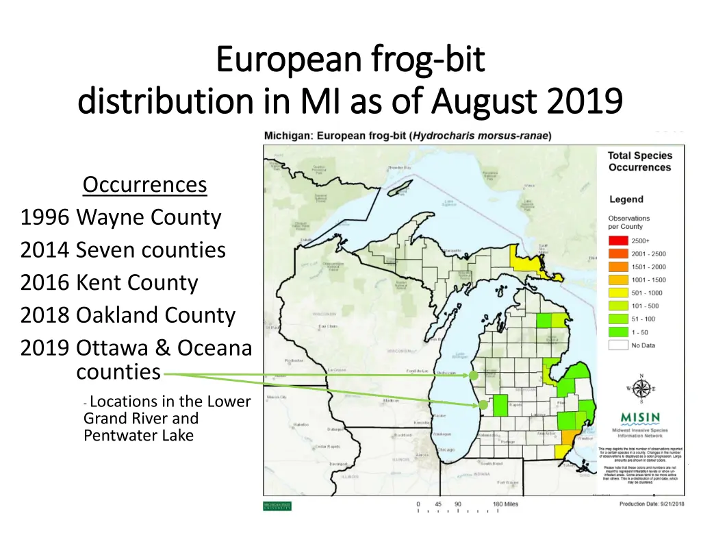 european frog european frog bit distribution
