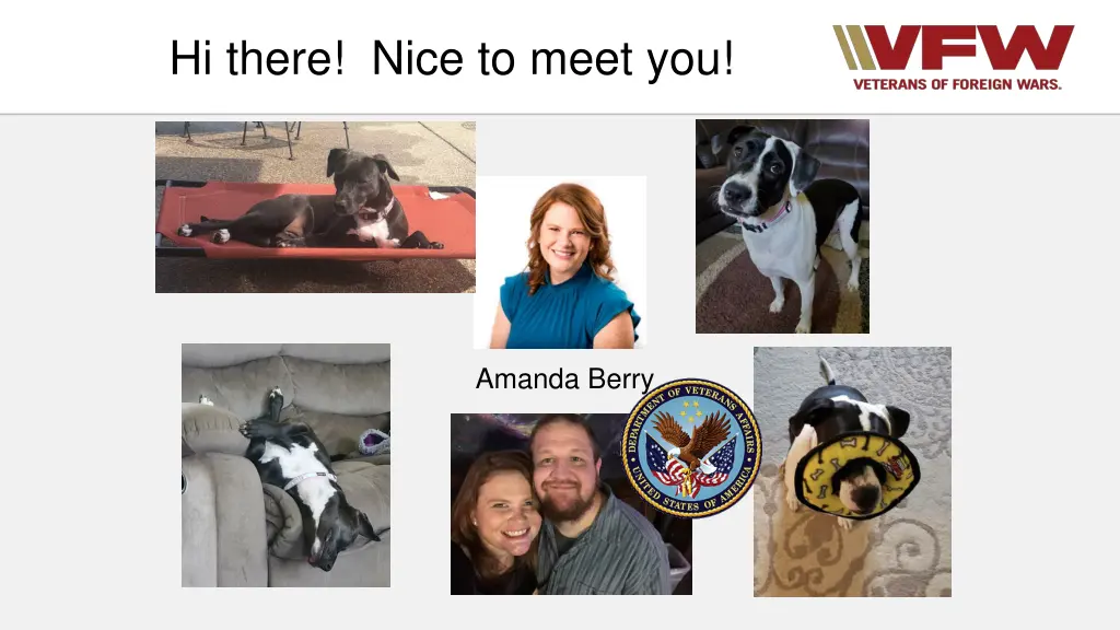 hi there nice to meet you