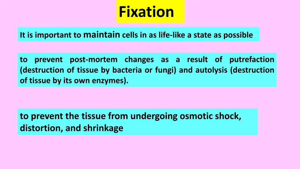fixation