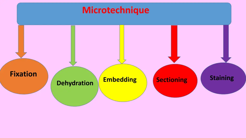 microtechnique