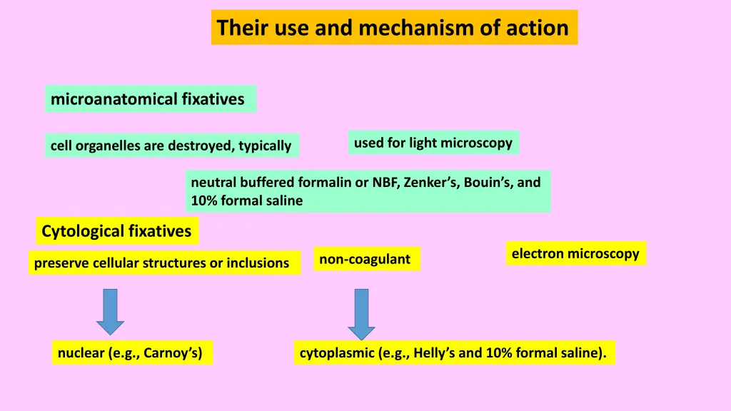 their use and mechanism of action