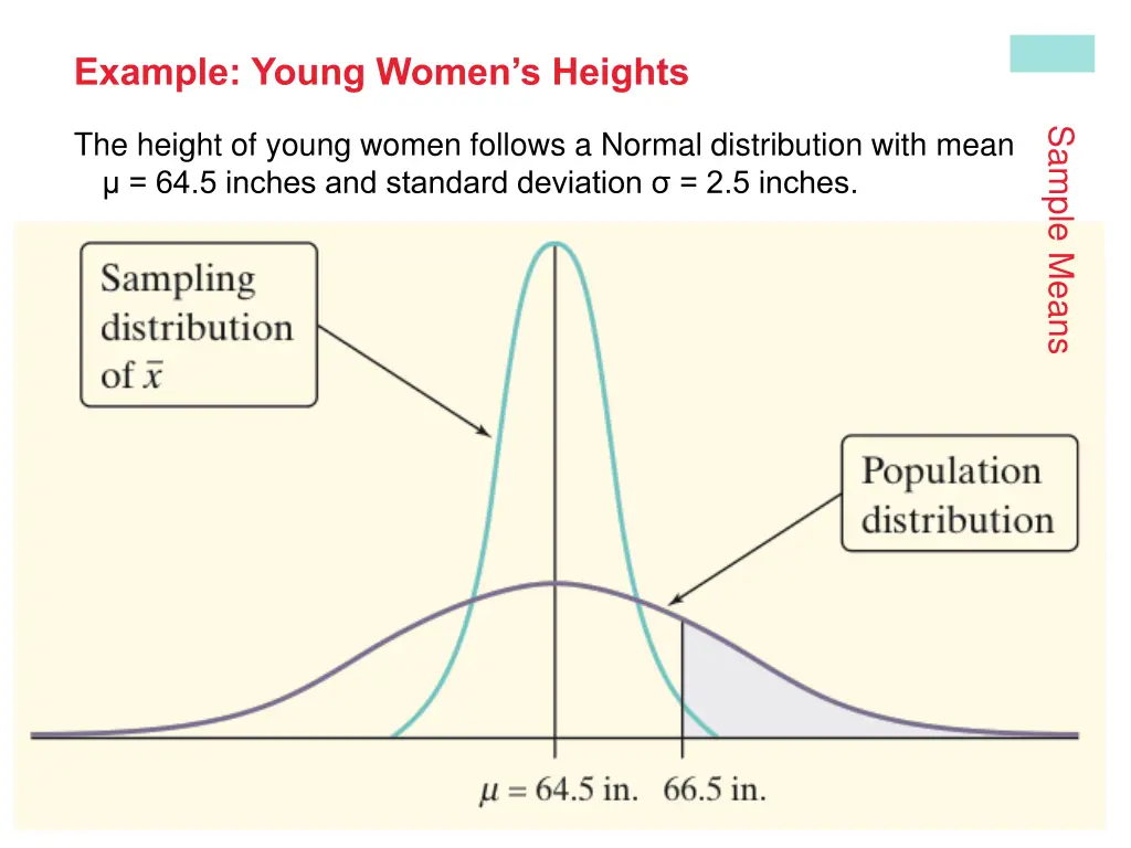 example young women s heights