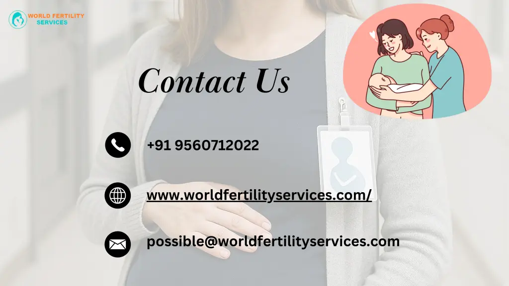 contact us