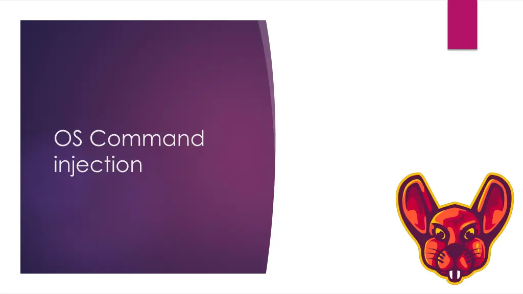 os command injection