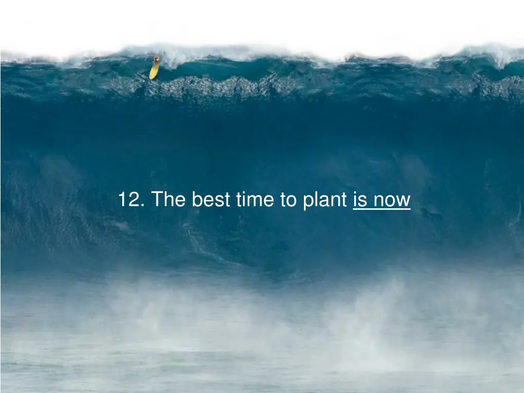 12 the best time to plant is now