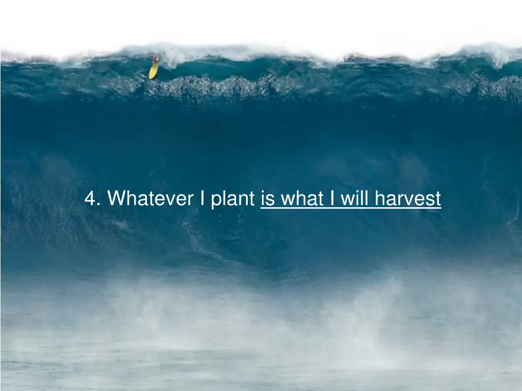 4 whatever i plant is what i will harvest