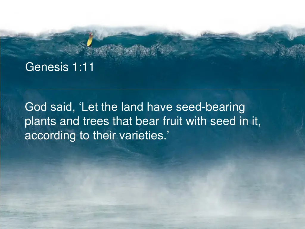 genesis 1 11
