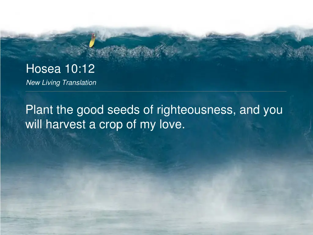 hosea 10 12 new living translation