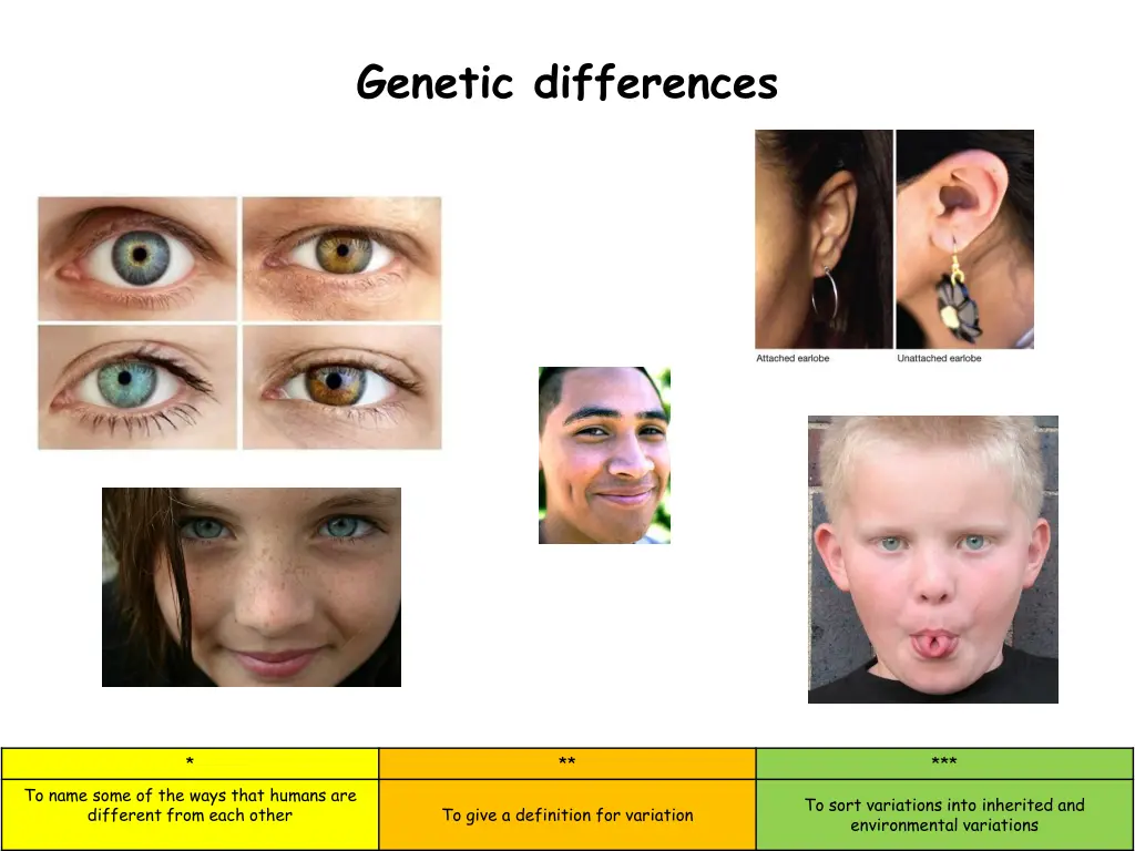genetic differences