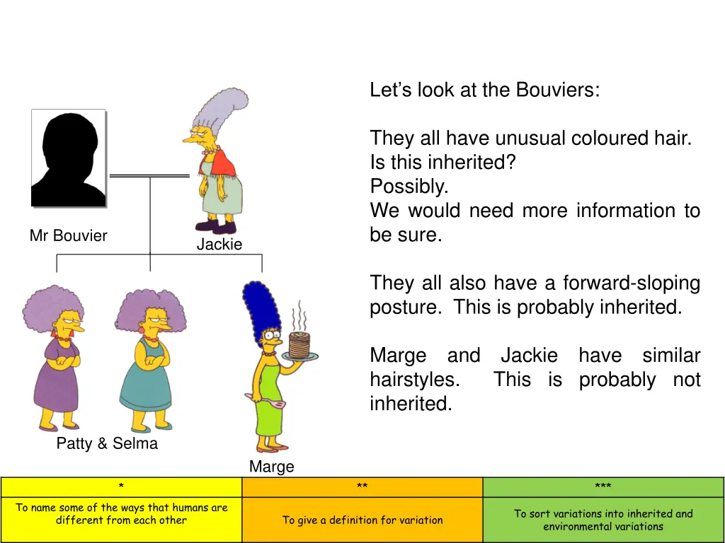 let s look at the bouviers