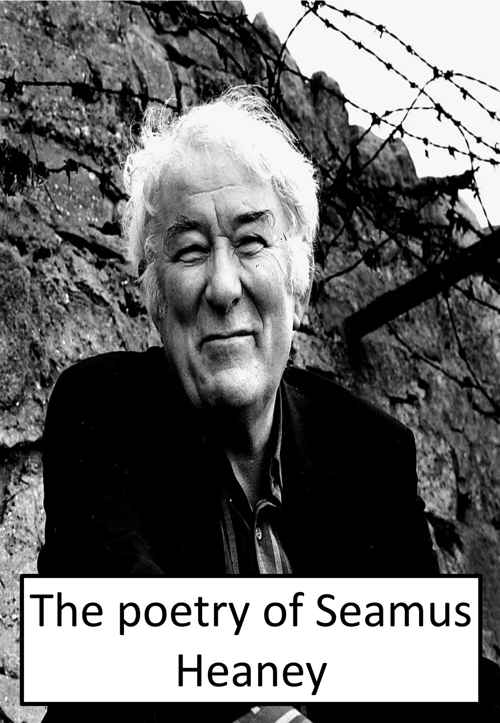 the poetry of seamus heaney
