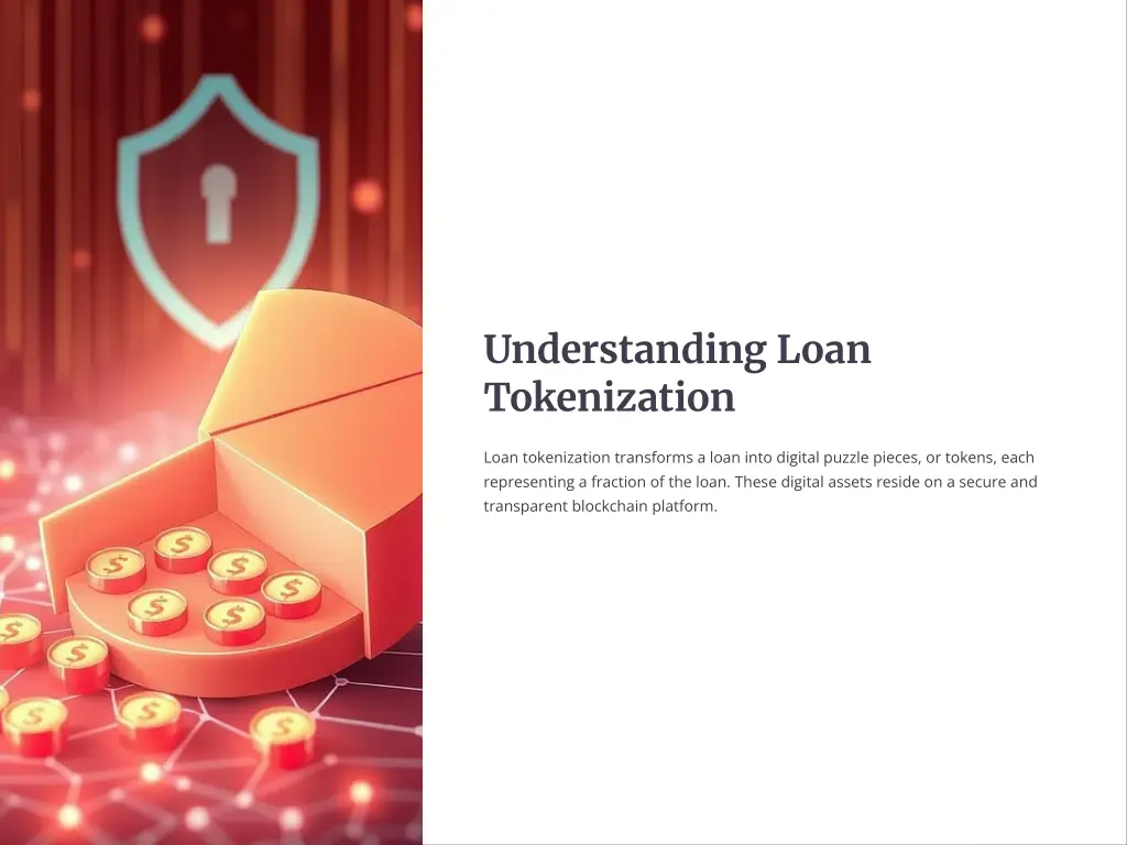 understanding loan tokenization