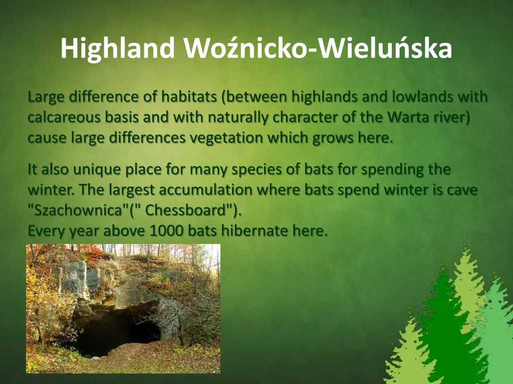 high land wo nicko wielu ska 1