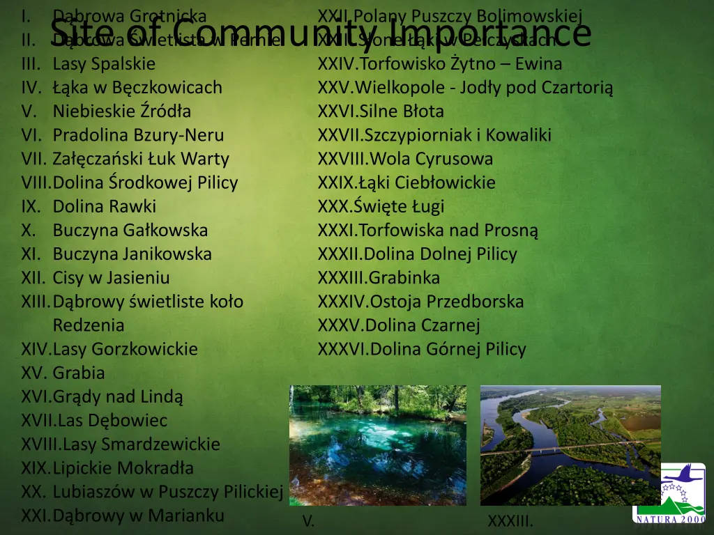 slide5