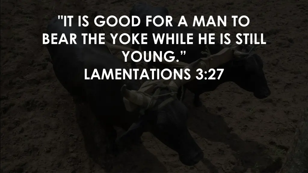 it is good for a man to bear the yoke while