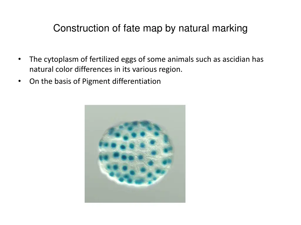 construction of fate map by natural marking