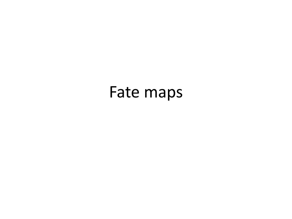fate maps