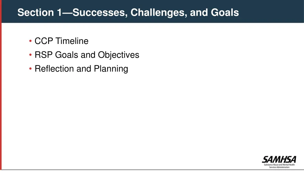 section 1 successes challenges and goals