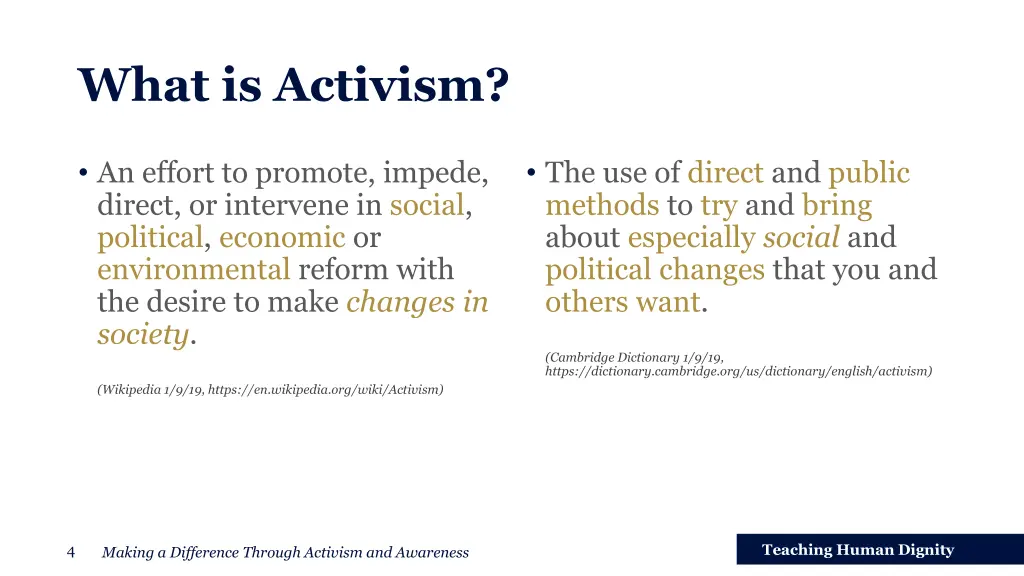 what is activism
