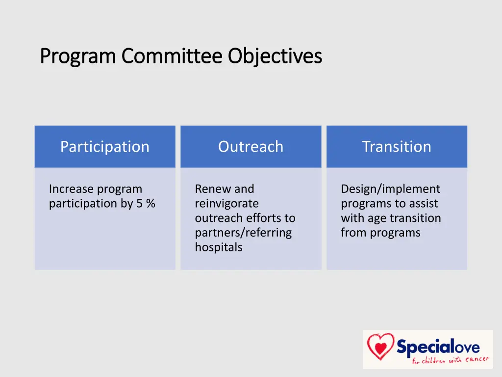 program committee objectives program committee