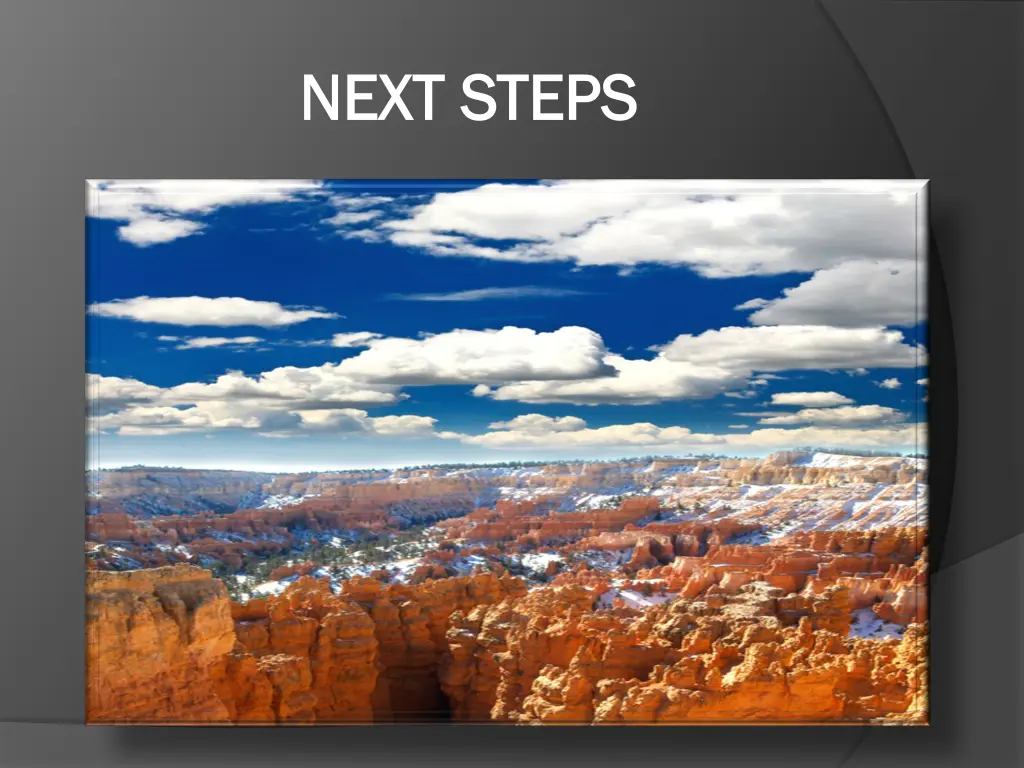next steps next steps