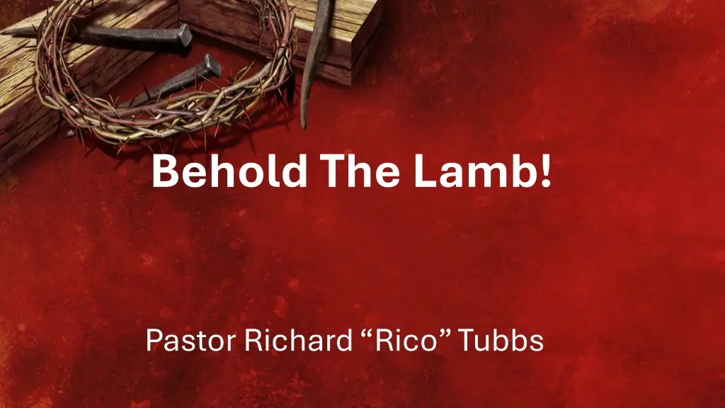 behold the lamb
