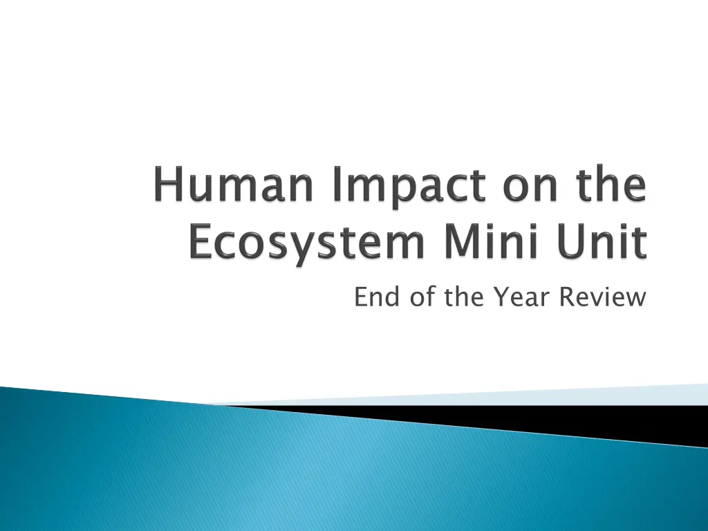 end of the year review
