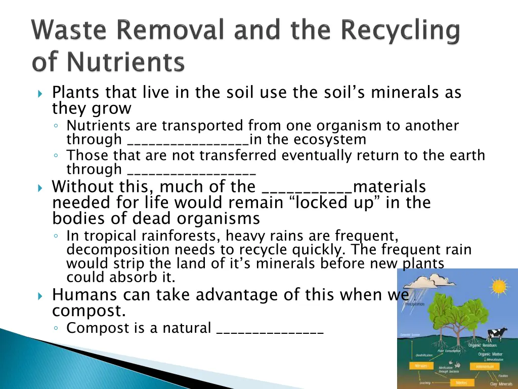 plants that live in the soil use the soil