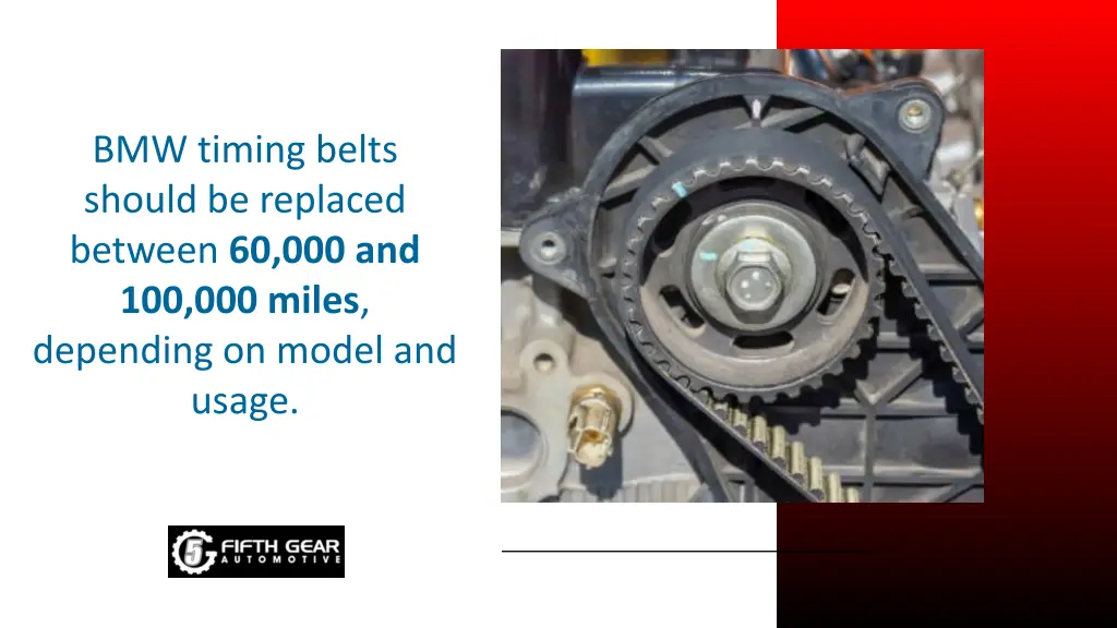 bmw timing belts should be replaced between