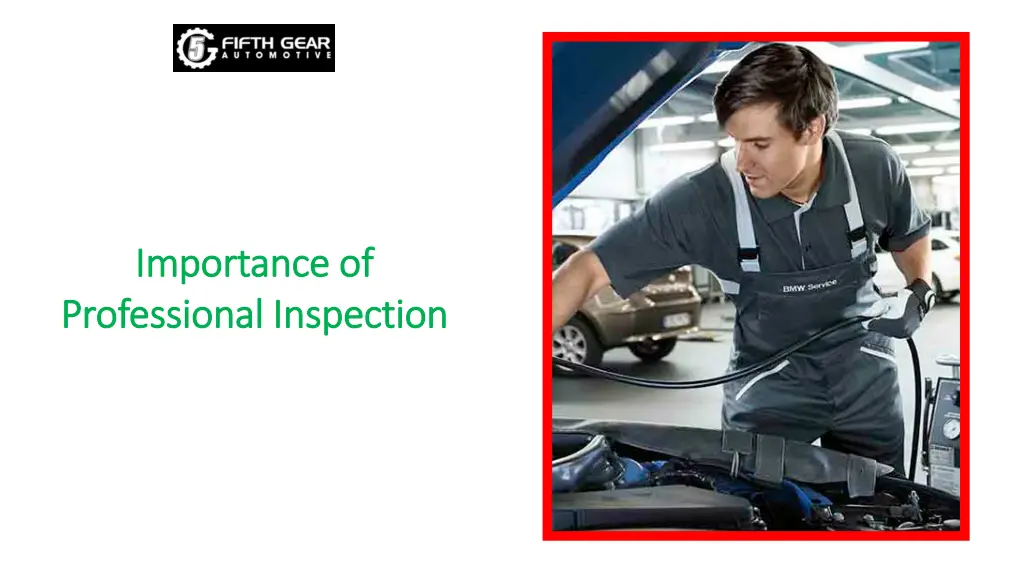 importance of importance of professional