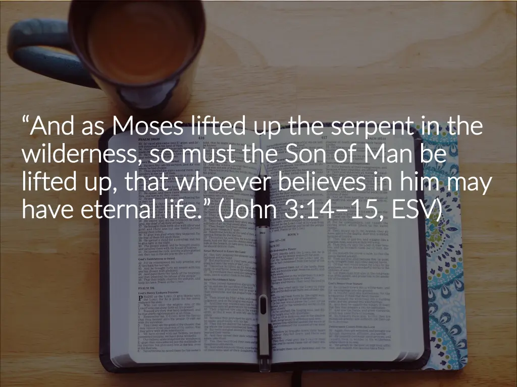 and as moses lifted up the serpent