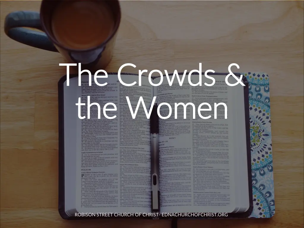 the crowds the crowds the women the women