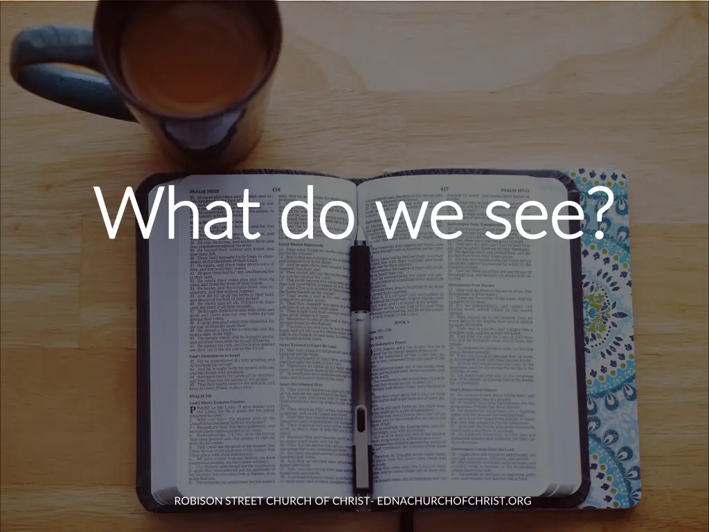 what do we see what do we see 1
