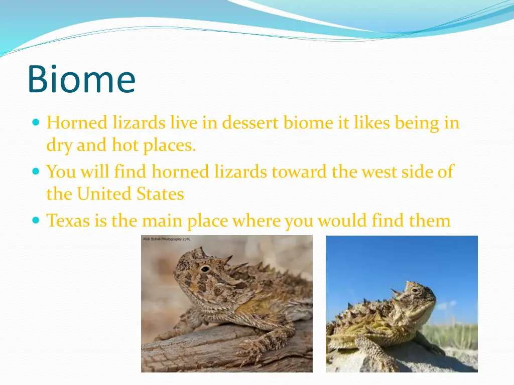 biome