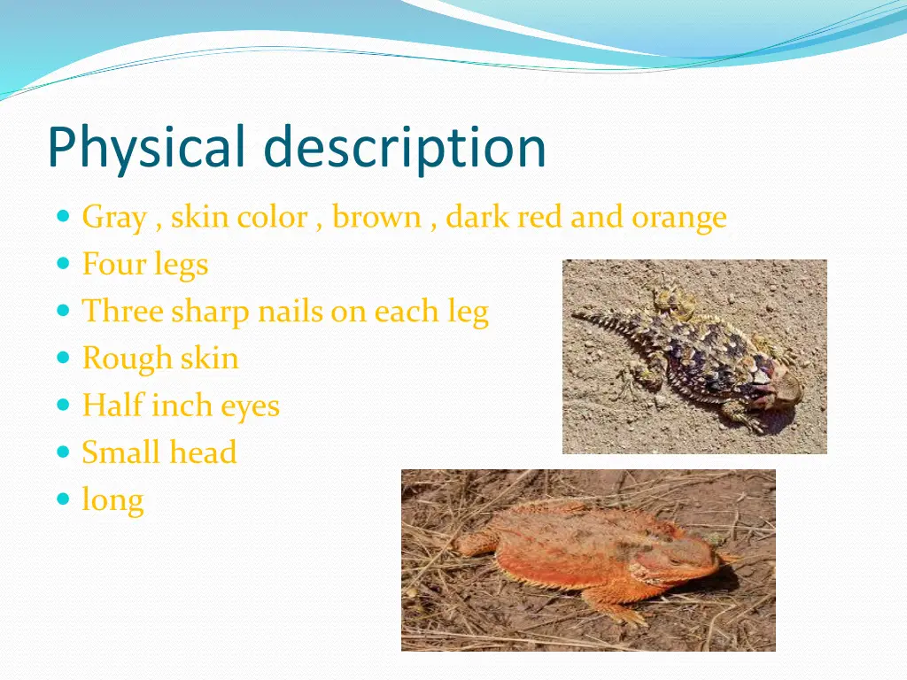 physical description