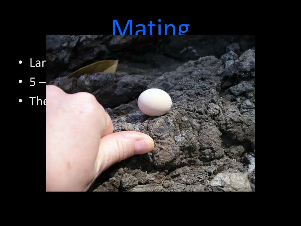 mating