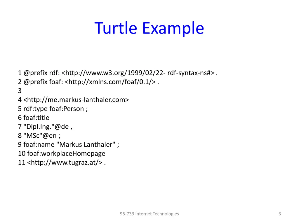 turtle example