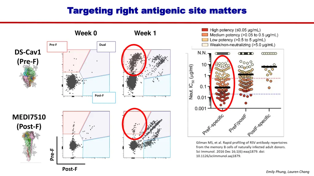 targeting right antigenic site matters targeting