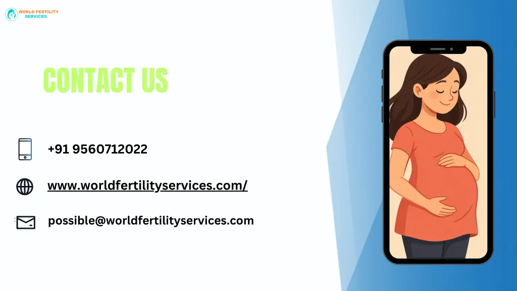 contact us