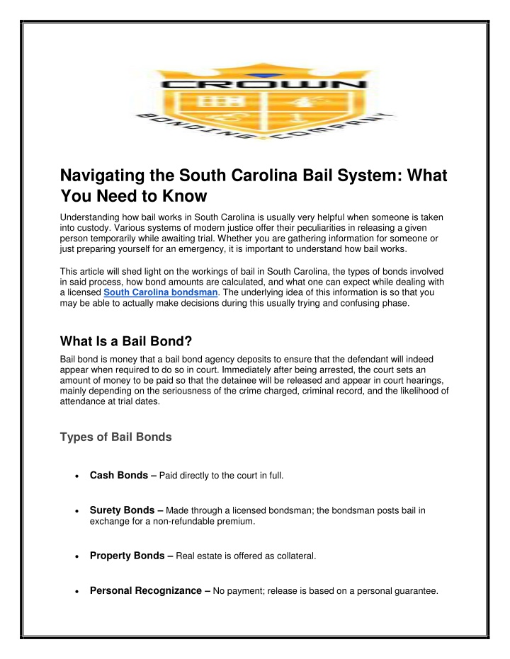 navigating the south carolina bail system what