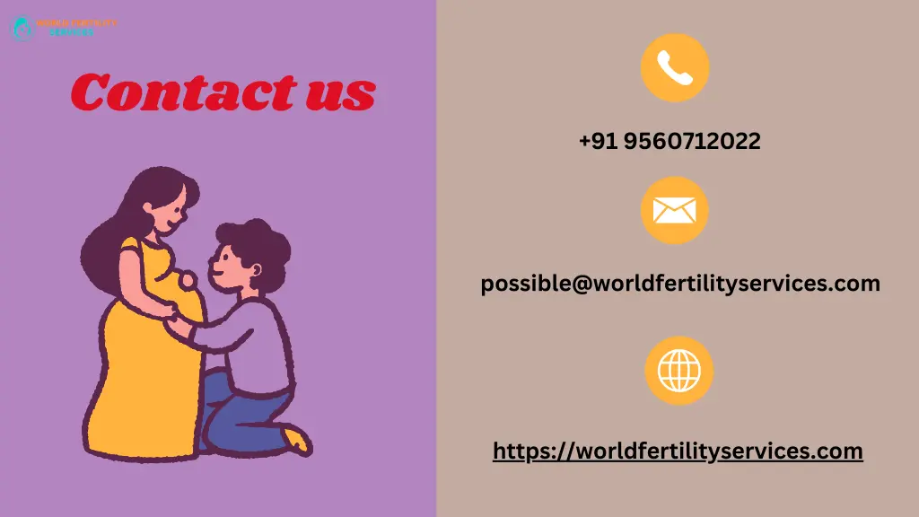 contact us