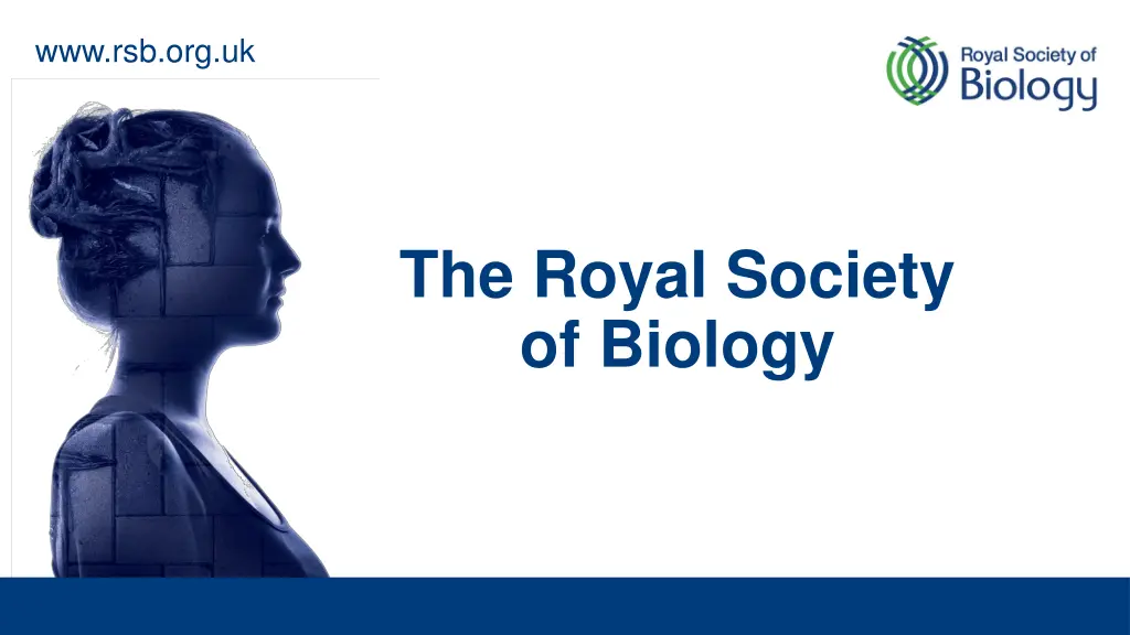 www rsb org uk