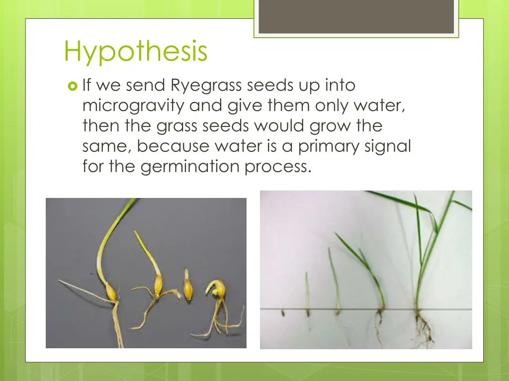 hypothesis