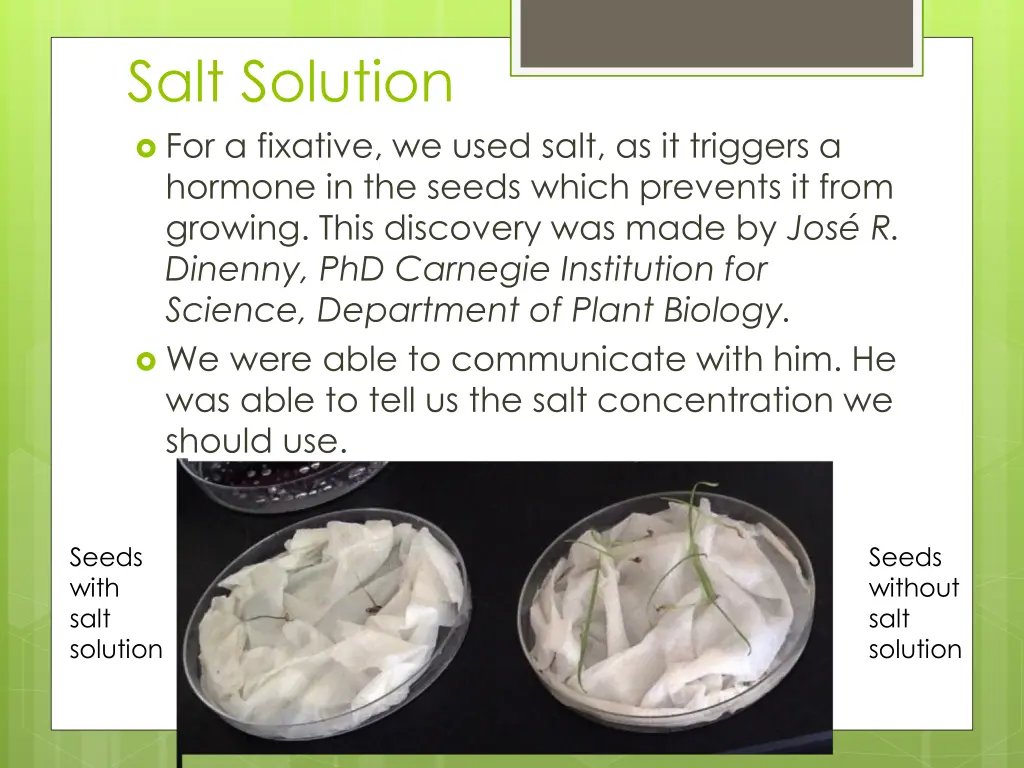 salt solution for a fixative we used salt