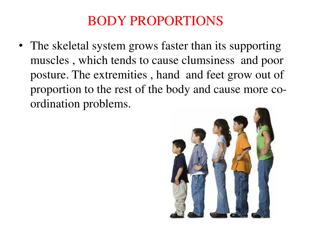 body proportions